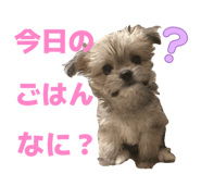 856666353