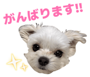 856666359
