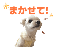 856666360