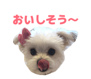 856666363