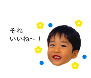 856666408