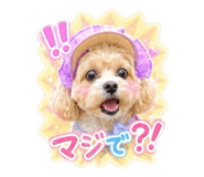 856666459