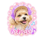 856666472