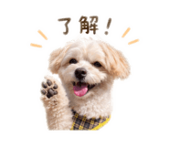 856666486