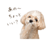 856666496