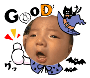 856666513