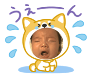 856666519
