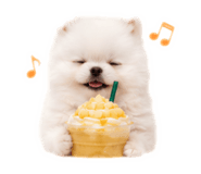 856666578