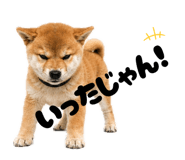 856666811