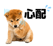 856666814