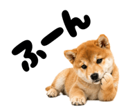 856666815