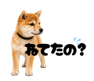 856666816