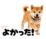 856666819