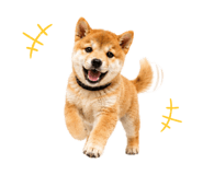 856666823