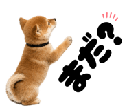 856666824