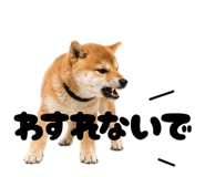 856666825