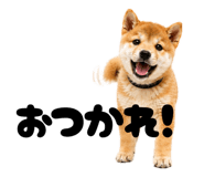 856666828