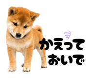 856666830