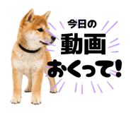 856666831
