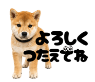 856666832