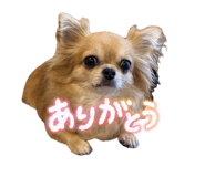 856666873