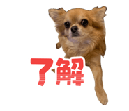 856666875