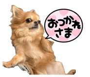 856666878