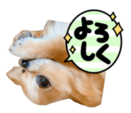 856666882