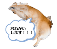 856666883