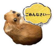 856666884