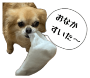856666885