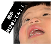 856666912
