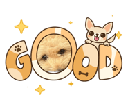 856667230
