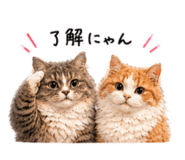 856667404