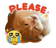 856667526