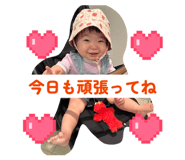 856668256