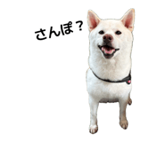 856668722