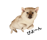 856668723