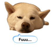 856668725