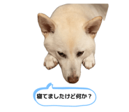 856668727