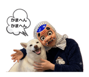 856668728
