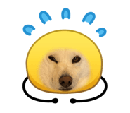 856668828
