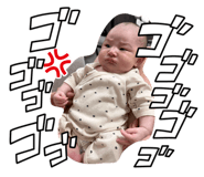 856668833
