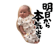 856668838