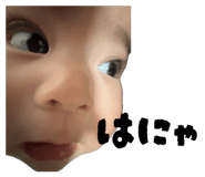 856669125