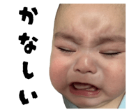 856669131