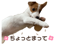856669520