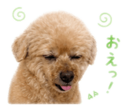 856670504