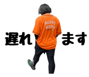 856672629