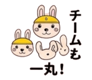856673117